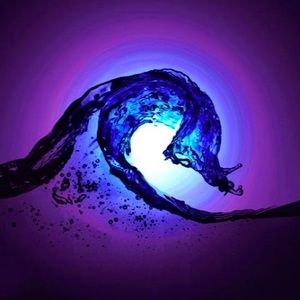 Meet your Posher, Unknown